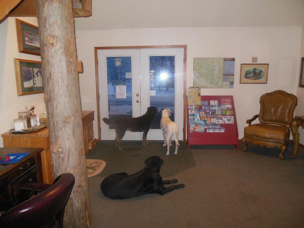 Clark Fork Lodge Buitenkant foto